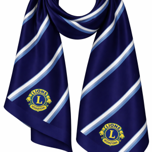 Blue printed scarf